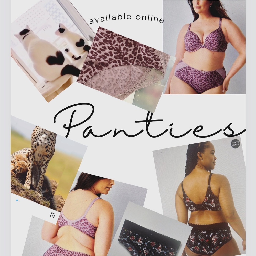 Women’s panties in plus sizes.